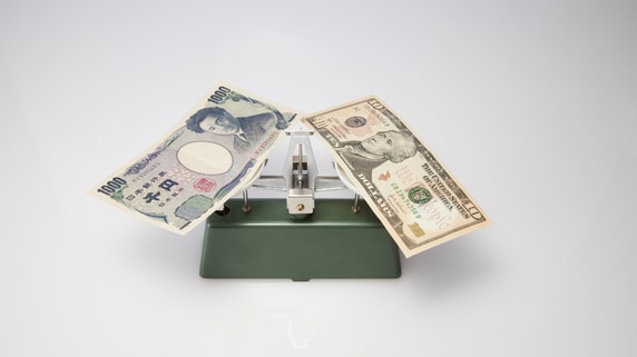 資産運用型保険――大きなリターンが狙える「変額保険」タイプ