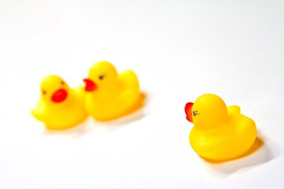「全財産を愛人に相続させる」という遺言は認められるのか?