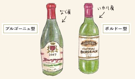 「ブルゴーニュ型」と「ボルドー型」