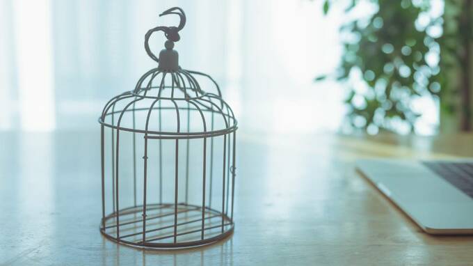 生きがいがなくなった…60代独居の母の涙。30代の娘が見落としていた「小さな心の支え」とは？