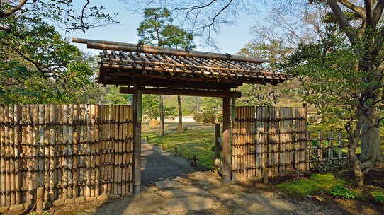 相続はいつから始まり、誰が相続人になるのか?