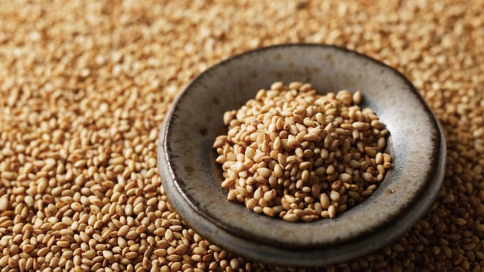 疲労回復等に効果がある!? 「ごま・ナッツ類」の栄養素