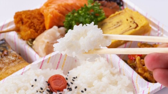 コメ価格高騰…FC弁当・カレー店の収益再設計術