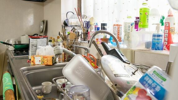 この家、いったいどうしたら…「自称・家事手伝い」で働かない50歳姉、母亡き後の遺産を総取り。縁を切った弟だったが…わずか3か月で実家が「ゴミだらけ」の呆れた顛末【CFPが解説】