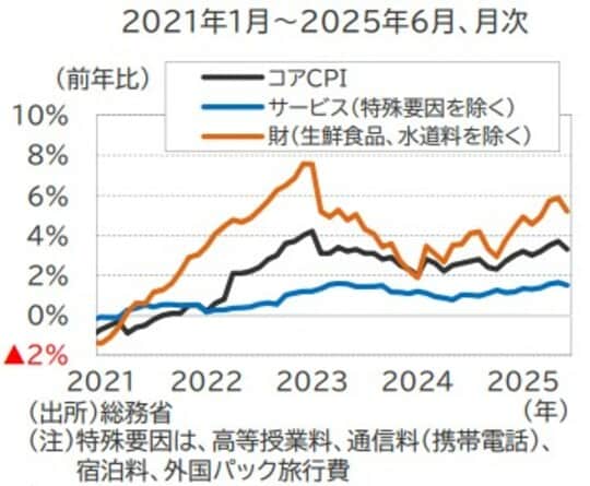 出所：総務省  （注）特殊要因は、高等授業料、通信料（携帯電話）、宿泊料、外国パック旅行費