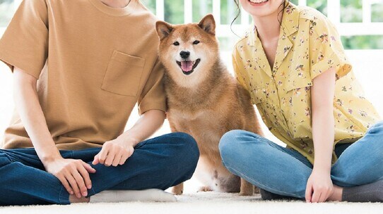 犬と猫、合わせて1,800万頭!進化する「ペット」の飼育環境