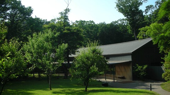 税理士選びの失敗・・・相続で多くの土地を失った地主の事例