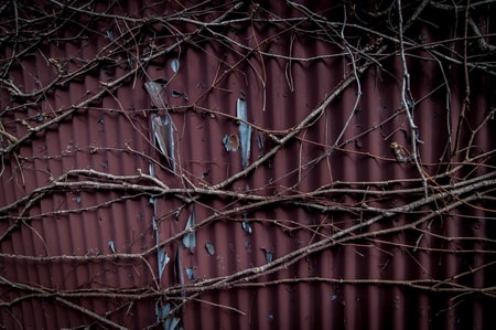 一生懸命に生きているんです