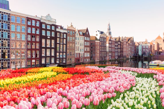 オランダ型給付付き税額控除の日本導入を考える―所得税・社会保険料の一元管理とそのメリット・課題