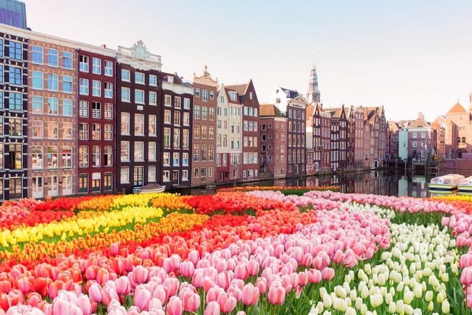 オランダ型給付付き税額控除の日本導入を考える―所得税・社会保険料の一元管理とそのメリット・課題