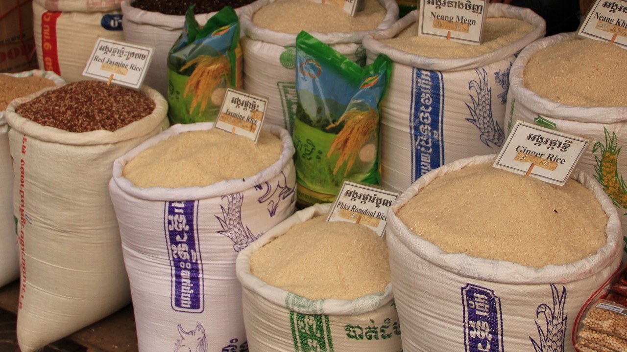 「お米の商品先物取引」…取り扱い銘柄は4種類、意外な品種も