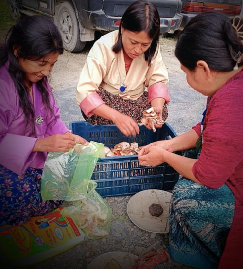 ケロン女性グループが椎茸の初収穫を祝う