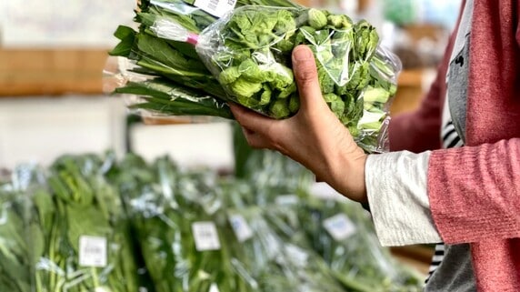 食料消費税ゼロは本当に物価高対策になるのか――イラン情勢で揺らぐ「当初シナリオ」