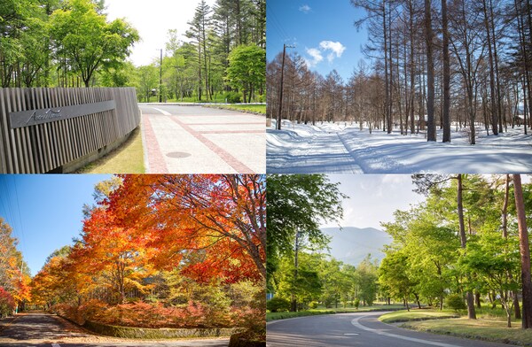 ▲軽井沢千ヶ滝別荘地内の様子