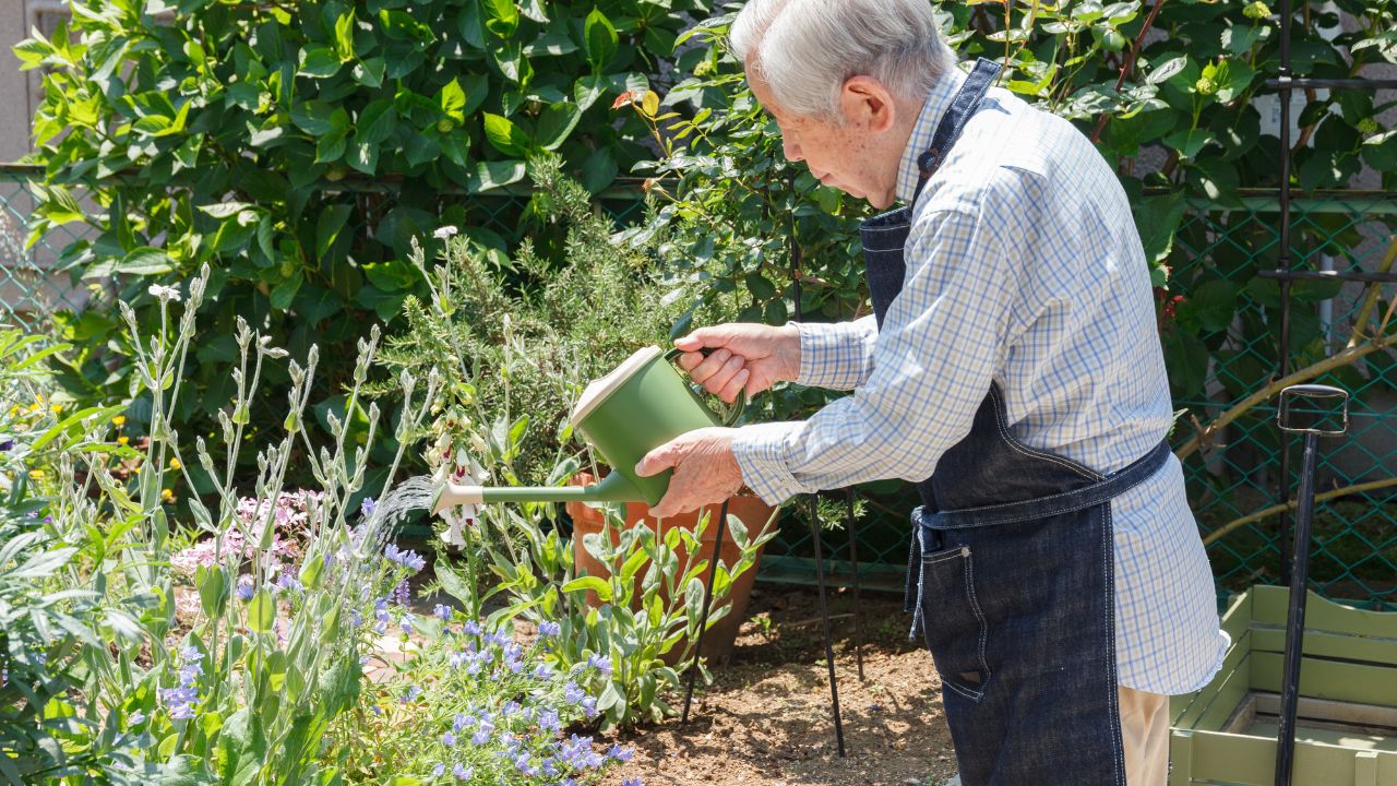 母に代わり、大切な家庭菜園を守ってきた「年金月23万円」一人暮らしの85歳父…年収1,300万円、60歳・老後安泰の長男が決断した「身を切る親孝行」【FPの助言】