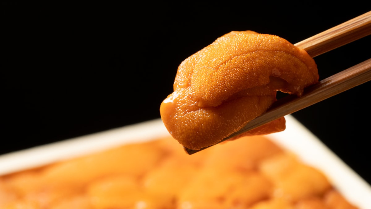 ひと箱10万円の“超高級ウニ”と同等の味!?見つけたら即実食の“高コスパ