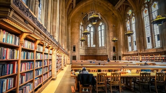 アメリカと日本でここまで違う―寄付文化と税制の深い関係【国際税理士が解説】