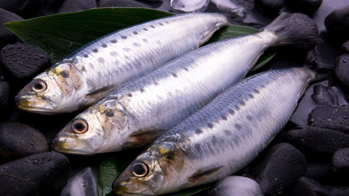 血液の健康に不可欠な「鉄分」を効率良く摂る方法