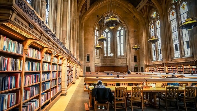 アメリカと日本でここまで違う―寄付文化と税制の深い関係【国際税理士が解説】