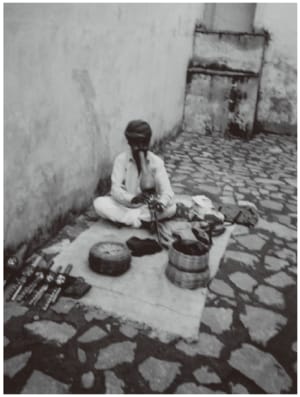 街中にいたヘビ使いの男