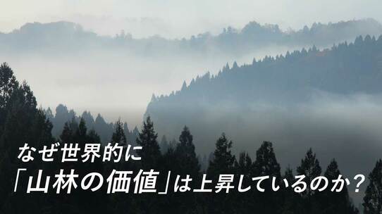 なぜ世界的に「山林の価値」は上昇しているのか?