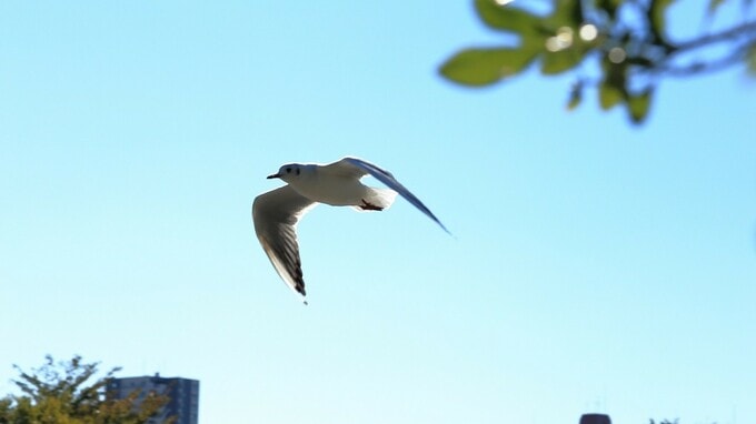 「日銀は無策だ！」の批判は的外れ…日本株がいま「千載一遇の投資チャンス」といえるワケ