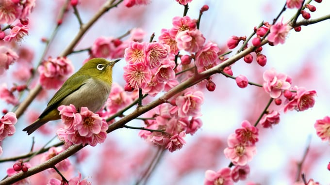 相続で遺産がもらえる「法定相続人」の範囲とは？