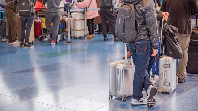 24年の訪日外客数は「過去最高」が期待される…景気の先読みに役立つ「身近なデータ」【解説：エコノミスト宅森昭吉氏】