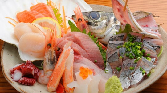 完全養殖　魚種広がる　飼料の需要拡大