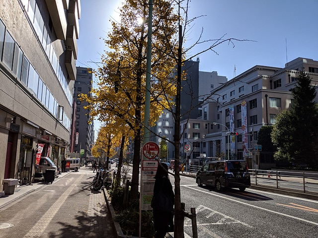 音羽通り沿いには多くの出版社とマンションが並ぶ