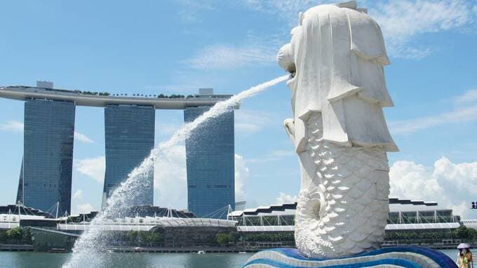 シンガポール法人でも日本で課税？ 国税が注目する越境ECの“実態”　【国際税理士が解説】