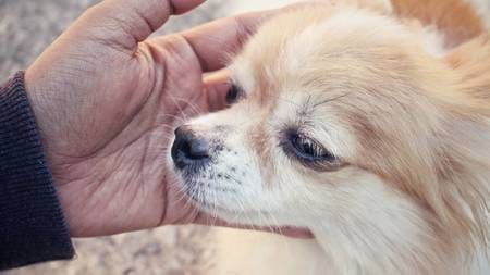 （※写真はイメージです／PIXTA）