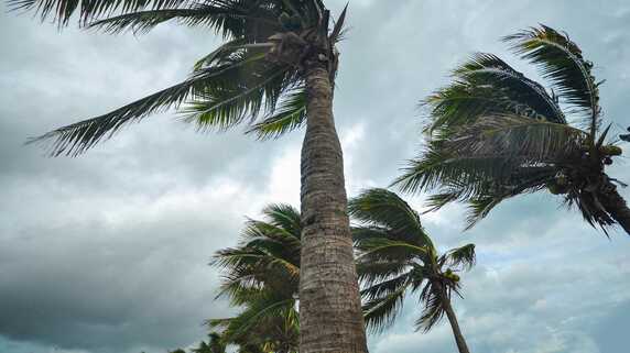 「景気の行方」を気象で読む…“台風の上陸数”が個人消費にもたらす差【解説：エコノミスト・宅森昭吉氏】