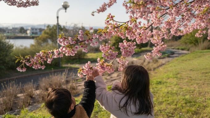 「全部、やり直したい…」SNSで他人の成功に焦り、孤独な暴走の末に〈社員の信頼〉と〈家族の笑顔〉を同時に失った44歳社長。発端は3月31日、年度末の夜