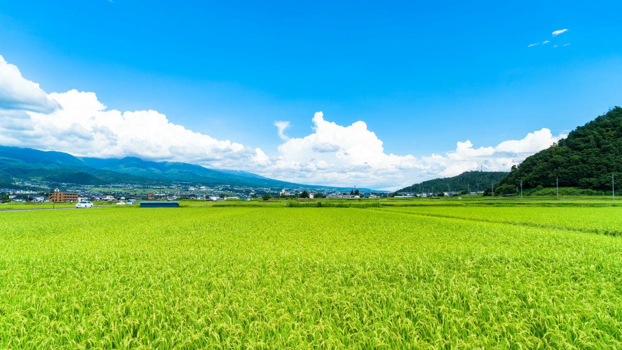 田や畑 農地における 評価単位 とは 富裕層向け資産防衛メディア 幻冬舎ゴールドオンライン