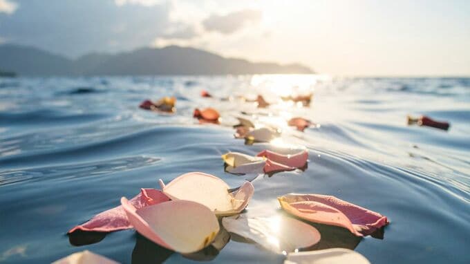 墓じまい後の遺骨はどうする？家族に負担を残さず、“3万～50万円”比較的安価に弔いができる「海洋散骨」「遺骨真珠」…多様化する〈供養のカタチ〉