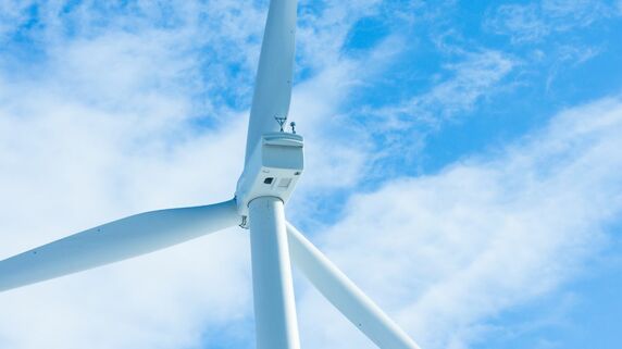 自然環境に配慮した「風力発電事業者」ランキング【自然保護NGOが評価】
