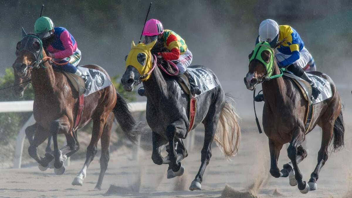 意外と当たるんじゃないか？」年末ジャンボに競馬穴狙い…「限り