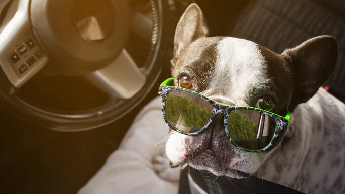 中古車ディーラーがない国で、予算内・最高の中古車を買う方法