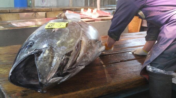 初競りマグロ、史上最高値5億1,030万円…2026年「日経平均株価2ケタ上昇」のサインか？　すしざんまい社長「あれよあれよと上がってびっくり」【解説：エコノミスト宅森昭吉氏】