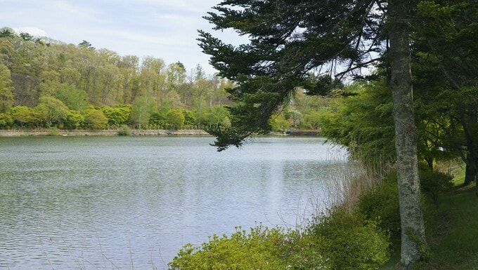 別荘が土地込みで400万円台から手に入る。原生林に囲まれた蓼科高原に若い世代が増加した理由