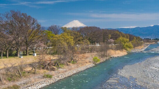 考案者は武田信玄!水害多発地帯だった甲府盆地「治水工事」のすごいアイデア