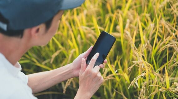 「国民の金を使って農業をするのか」…東大卒、25歳で〈年収15万円〉。儲からない米農家が山形県の補助金（年75万円）を利用して受けた批判