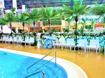 （アクアビート／PIXTA）