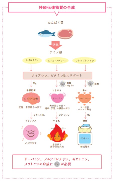図1.神経伝達物質の合成