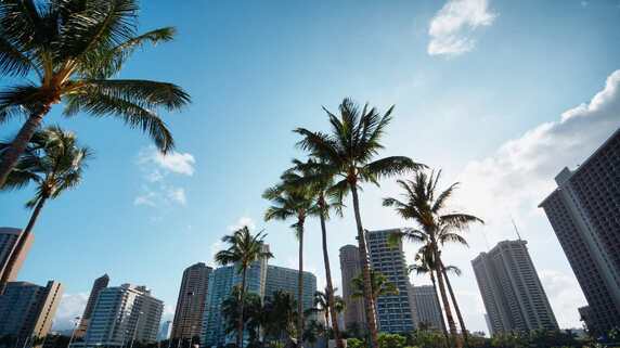 ハワイ不動産投資で失敗しない方法｜利回り・節税効果は？