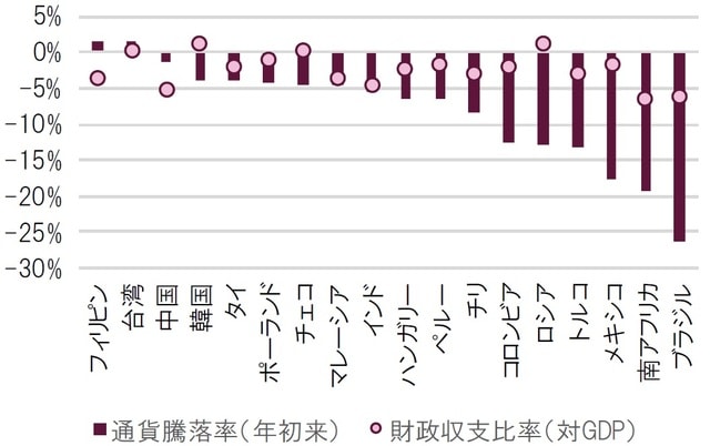 通貨別騰落率：2019年12月末～2020年6月末 財政収支比率：2019年時点  出所：ブルームバーグよりピクテ投信投資顧問作成