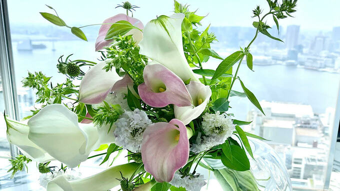 凛とした佇まいで待合室を上品に見せる7月の花：カラー