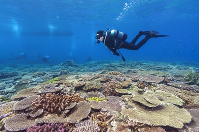 （※画像はイメージです／PIXTA）