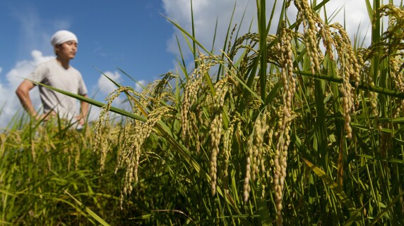 貧しい日本、豊かな中国に買い負ければ「食糧安全保障問題」に!?…貿易自由化について経済評論家がわかりやすく解説